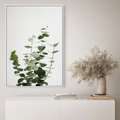 Obraz w ramie 80x120 - Żywa eukaliptusowa zieleń - eukaliptus, zielone - rama biała