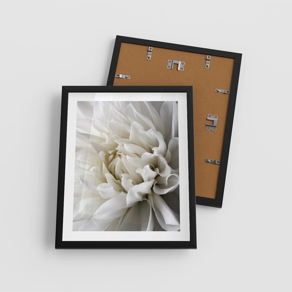 Plakat w ramie 40x50 - Białe Kwiaty Delikatności - białe, kwiaty - rama czarna