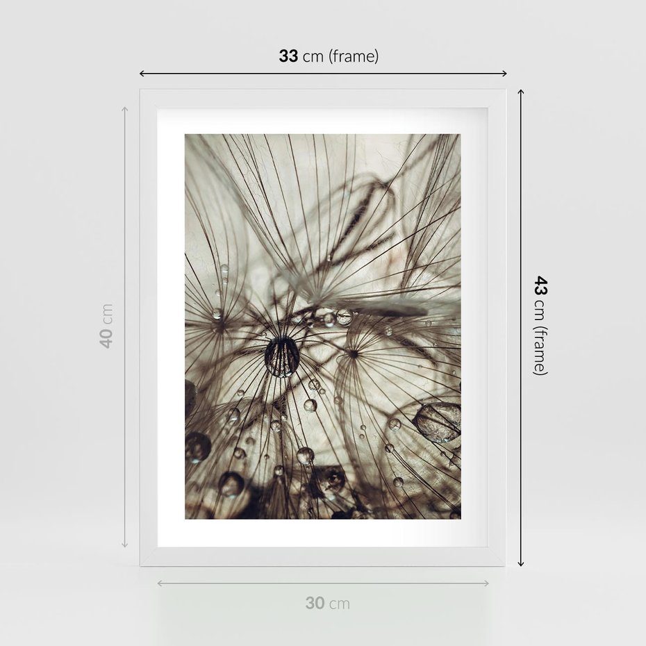 Plakat w ramie 30x40 - Lekkie dmuchawce - dmuchawce, krople - rama biała