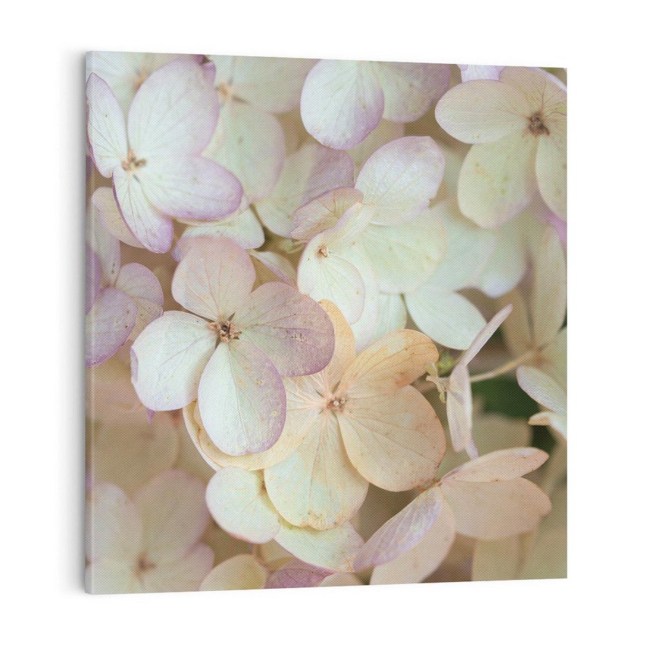 Obraz na płótnie 70x70 - Kwiatowy taniec - kwiaty, hortensje