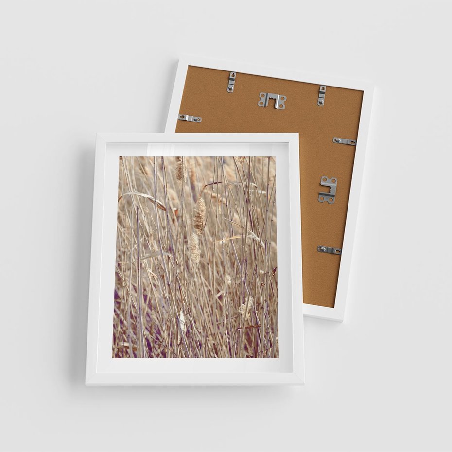 Plakat w ramie 40x50 - Suche Trawy w Wyjątkowym Stylu - suche trawy, boho styl - rama biała