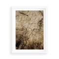 Plakat w ramie 50x70 - Słoje Natury - słoje drzewa, pieńdrzewa - rama biała