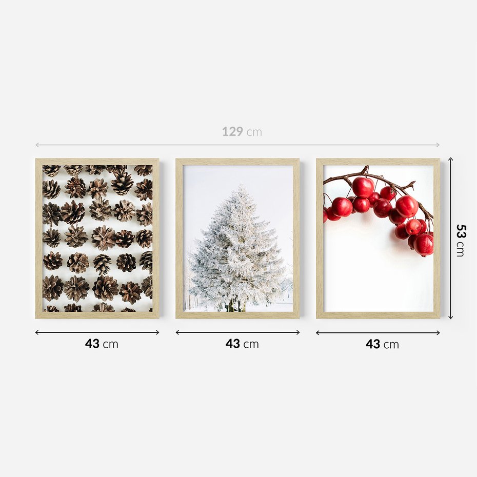 Zestaw obrazy w ramie 40x50 galeria - Zima, szyszki, śnieg - rama drewno