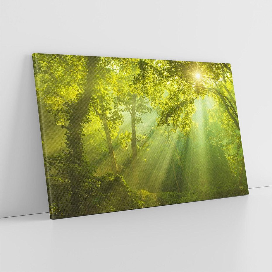 Obraz na płótnie 120x80 - drzewa w harmonii - las, drzewa