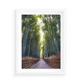 Plakat w ramie 50x70 - Urokliwa dróżka w lesie - las, dróżka - rama biała