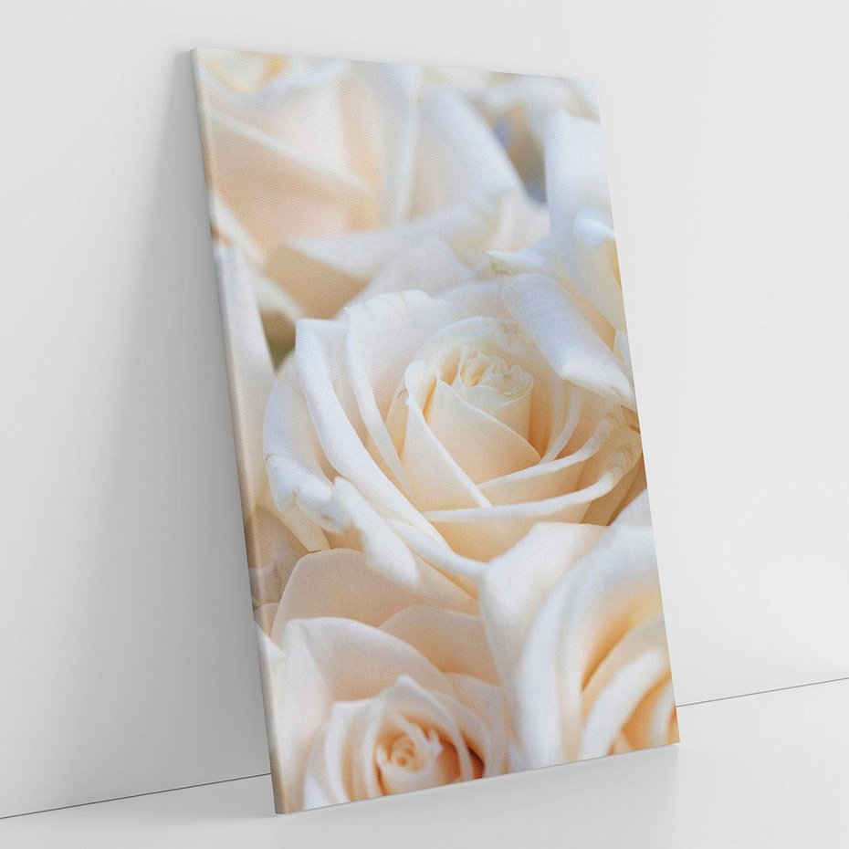 Obraz na płótnie 80x120 - Białe róże piękności - białe, róże