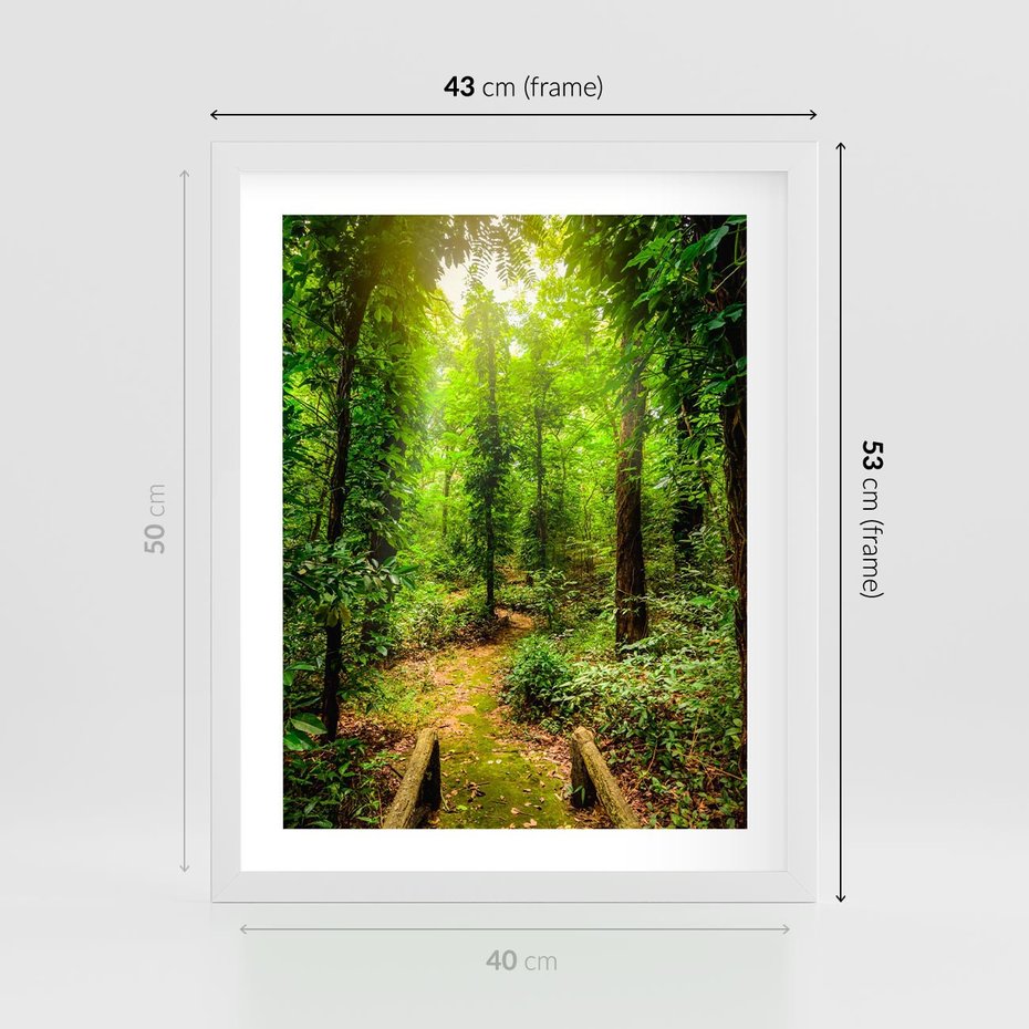 Plakat w ramie 40x50 - Współistnienie z naturą - drzewa, las - rama biała