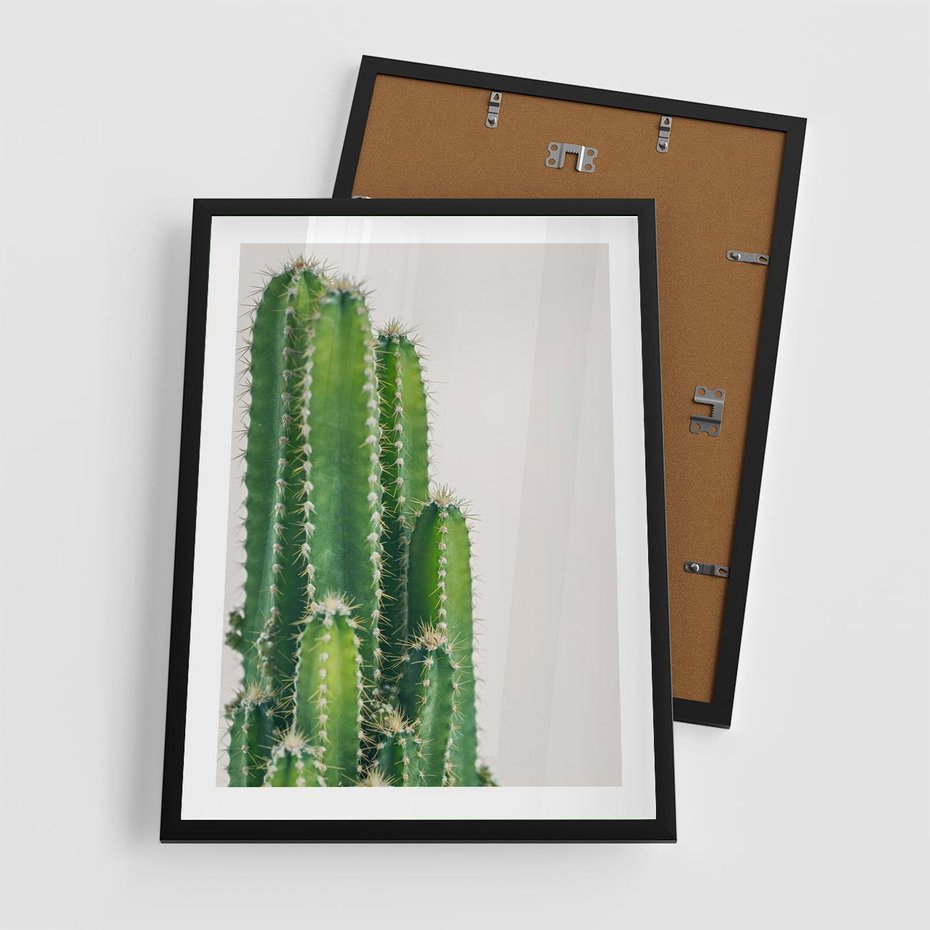 Plakat w ramie 50x70 - Minimalistyczne Kaktusy na Białym Tle - kaktusy, minimalistyczna fotografia - rama czarna