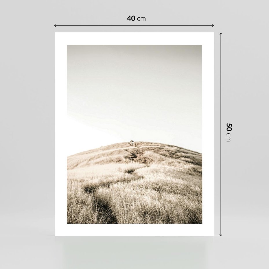 Plakat bez ramy 40x50 - Wzgórze w Odcieniach Sepii - wzgórze, trawy
