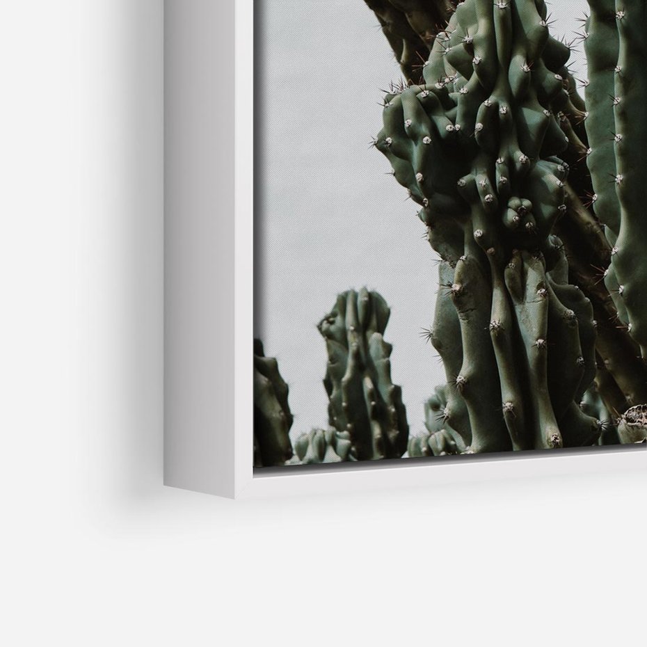 Obraz w ramie 50x50 - Boho oaza wśród kaktusów - kaktusy, pustynia - rama biała