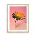 Plakat w ramie 50x70 - Egzotyczna monstera - monstera, liść - rama drewno