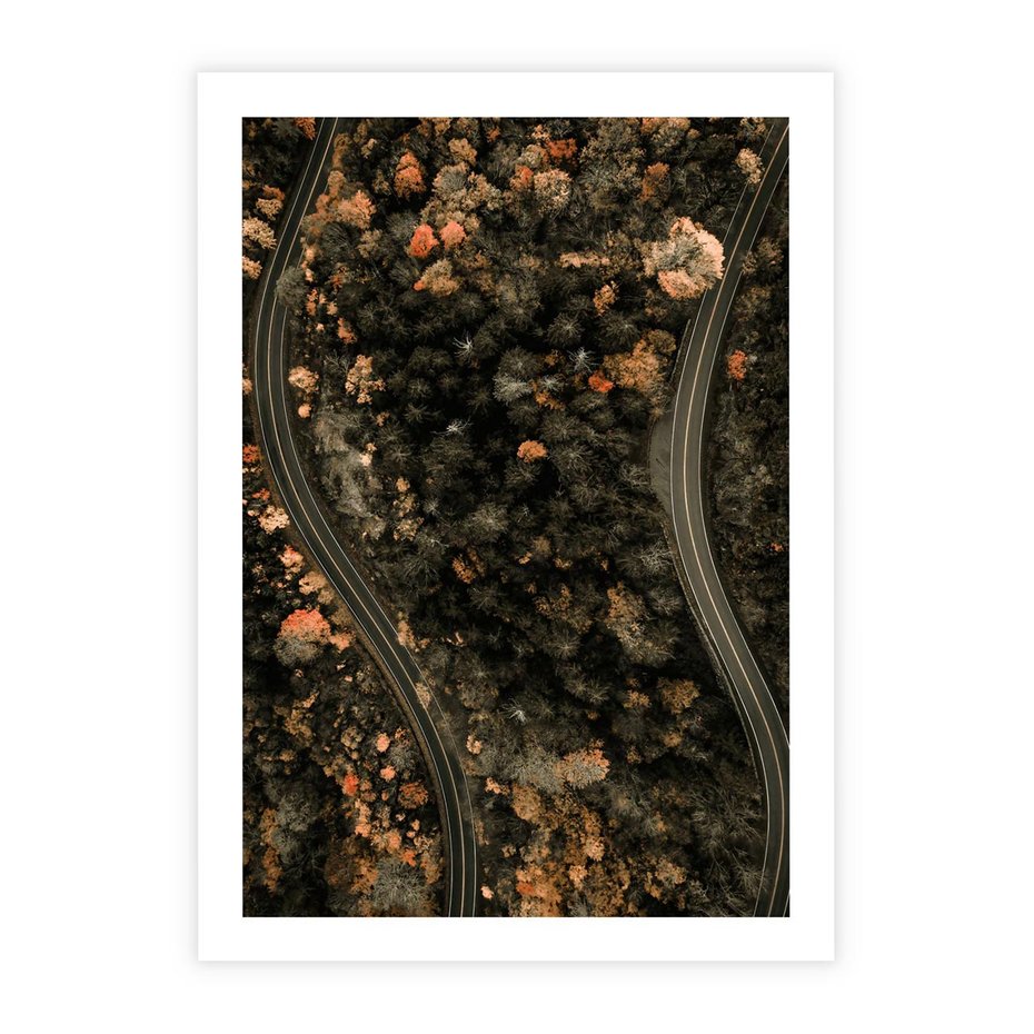 Plakat bez ramy 21x30 - Las i Droga w Kolorach Jesieni - droga, ujęcie z góry