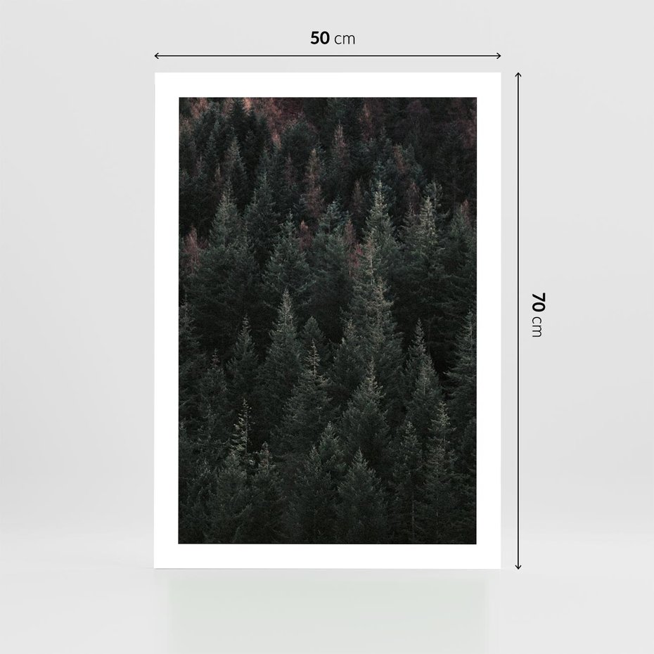 Plakat bez ramy 50x70 - Wysoko nad Iglastym Lasem - las, perspektywa