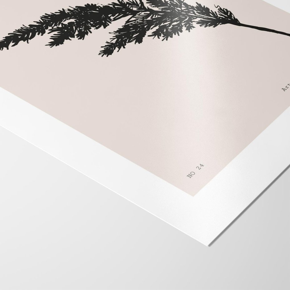 Plakat bez ramy 21x30 - Boho Refrakcje Przestrzeni - boho plakat, roślina