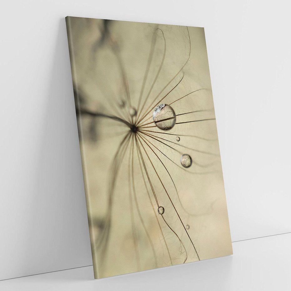 Obraz na płótnie 80x120 - Delikatność dmuchawców - dmuchawce, krople