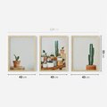 Zestaw obrazy w ramie 40x50 galeria - Kaktusy, w, doniczkach, boho - rama drewno