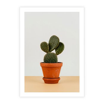 Plakat bez ramy 21x30 - Kwiatowy taniec kaktusa - kaktus, kwiat