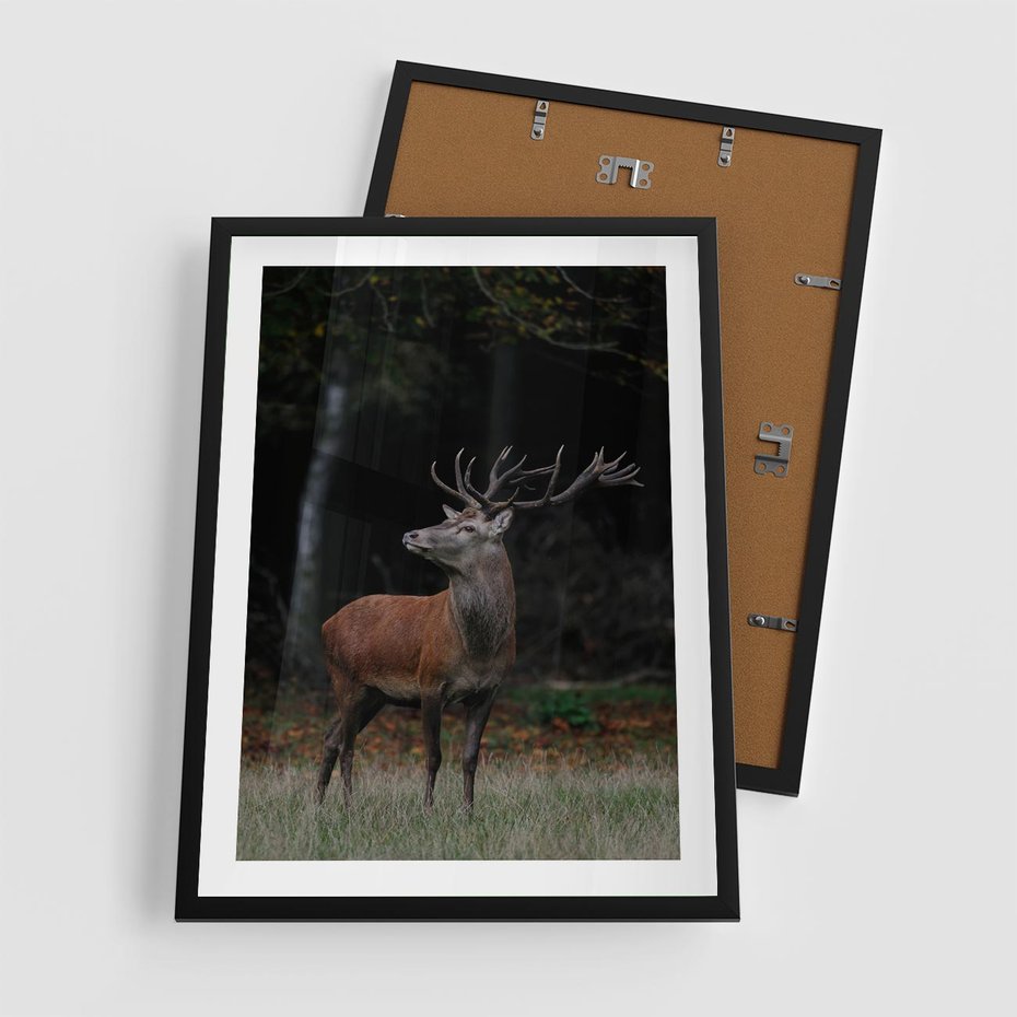 Plakat w ramie 50x70 - Spotkanie z naturą - jeleń, las - rama czarna