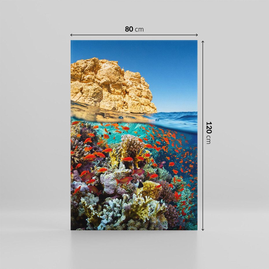 Obraz na płótnie 80x120 - Rafa koralowa w oceanie - rafa, koralowa