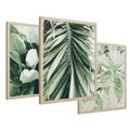 Zestaw obrazy w ramie 50x70 galeria - Liście, palma, monstera - rama drewno