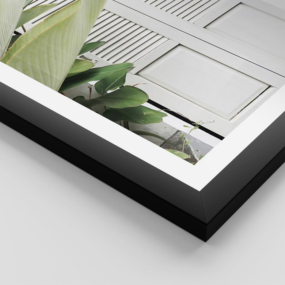Plakat w ramie 40x50 - Tropikalne Okno - białe okiennice, zielona tropikalna roślina - rama czarna
