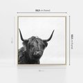 Obraz w ramie 50x50 - Moc i Spokój - amerykańskie bydło, byk - rama drewno
