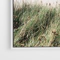Obraz w ramie 80x80 - Harmonia Natury - widok z wydm, wydmy porośnięte trawami - rama biała