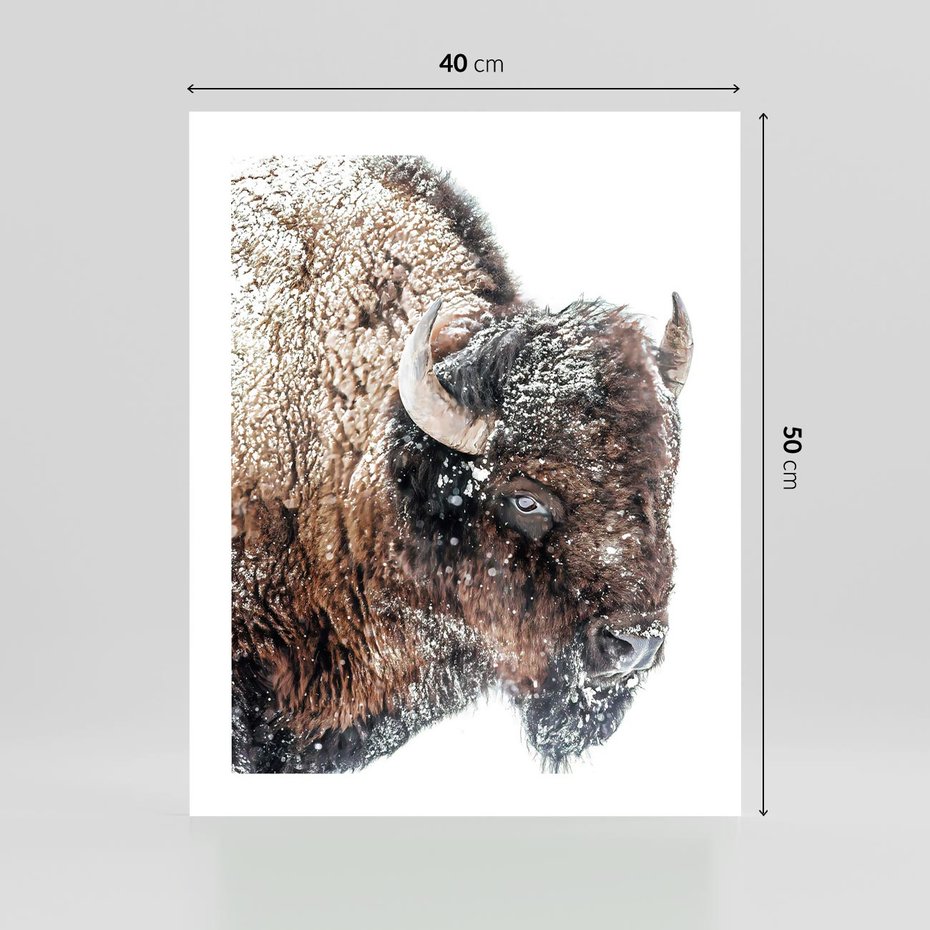 Plakat bez ramy 40x50 - Obraz Dzikiej Przyrody w Śnieżnym Otoczeniu - żubr, śnieg