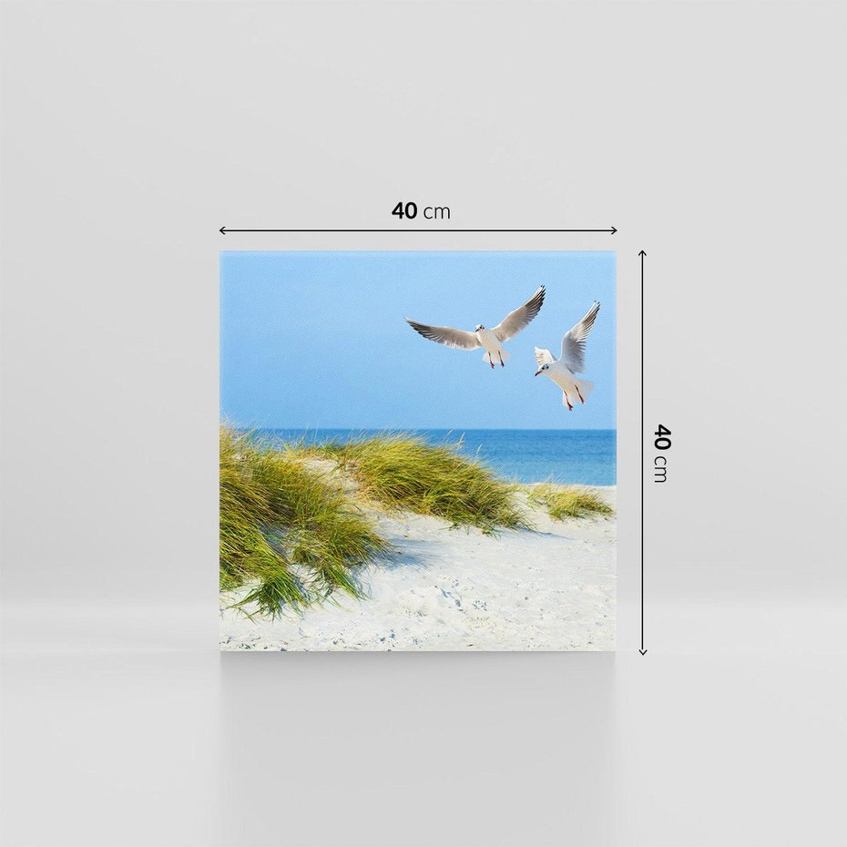 Obraz na płótnie 40x40 - Mewy nad morską plażą - mewy, plaża