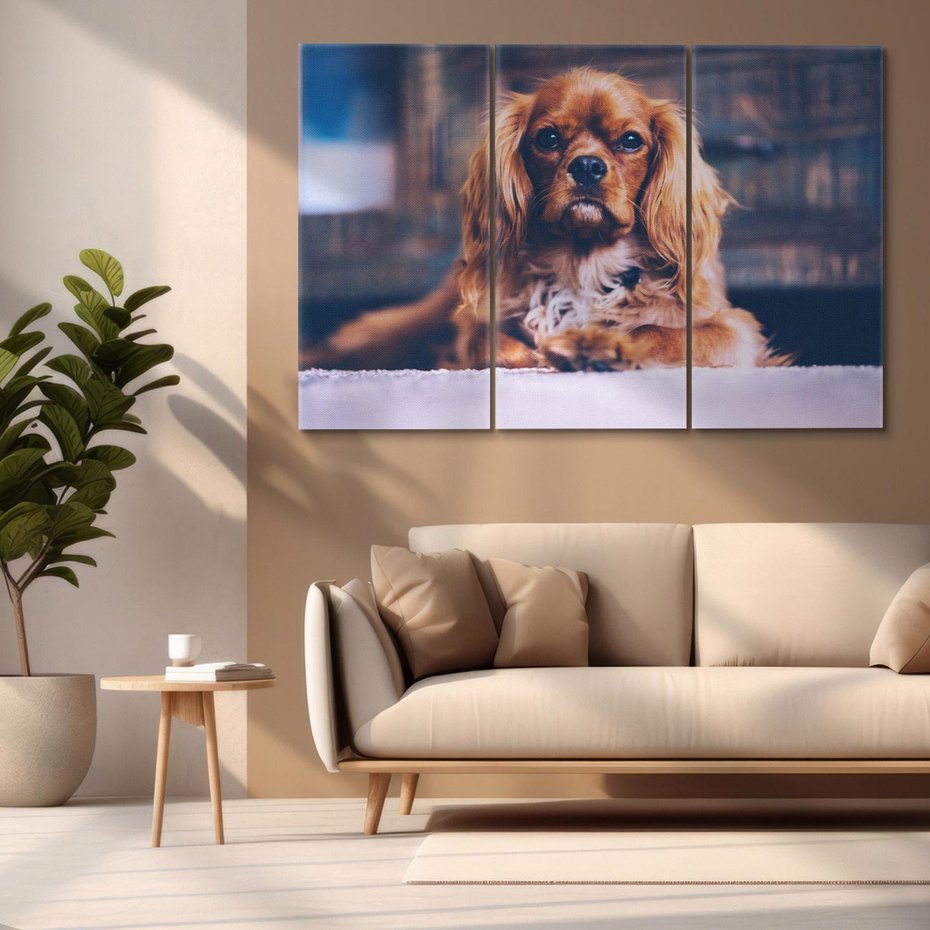 Obraz na płótnie 120x80 - Spacer z pieskiem - pies, piesek