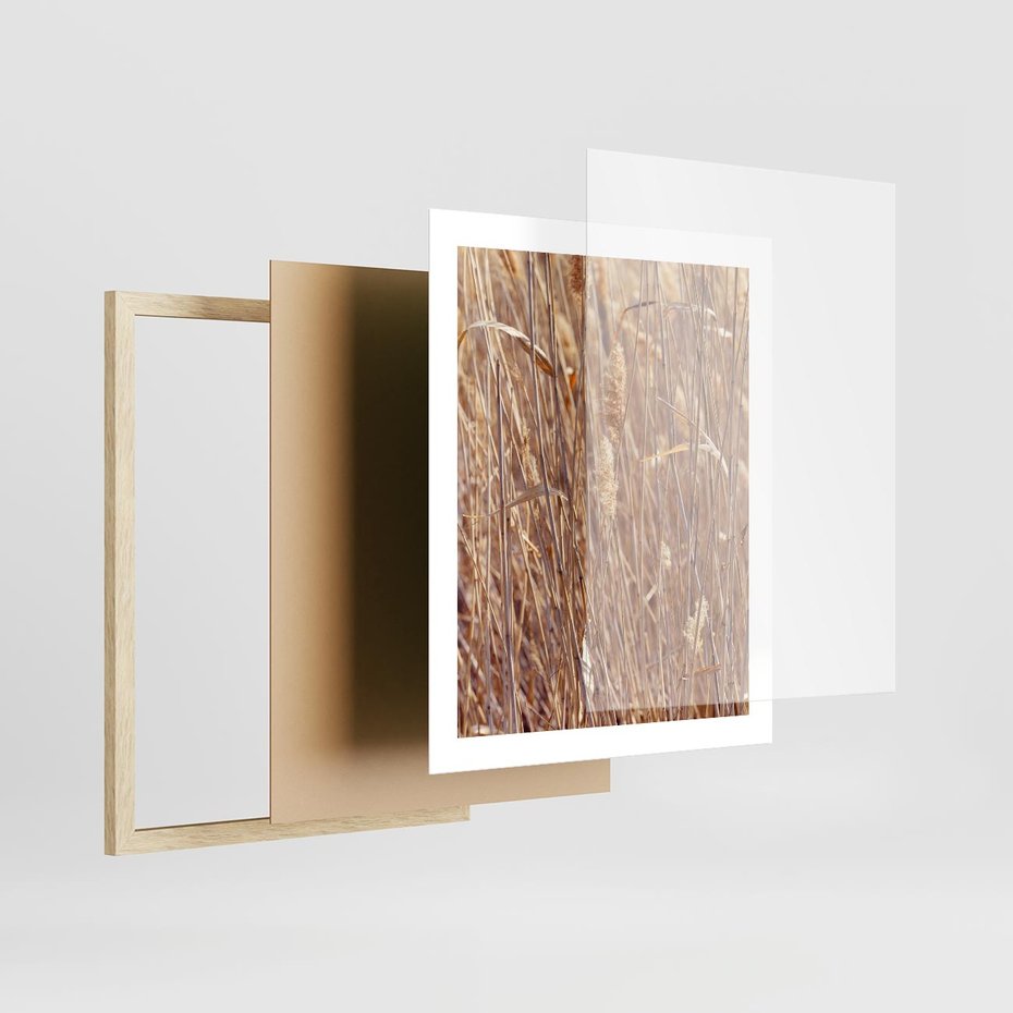 Plakat w ramie 40x50 - Mistrzowskie suche trawy - suche, trawy - rama drewno