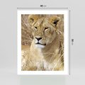 Plakat bez ramy 40x50 - Potęga lwów w Afryce - lew, lwica