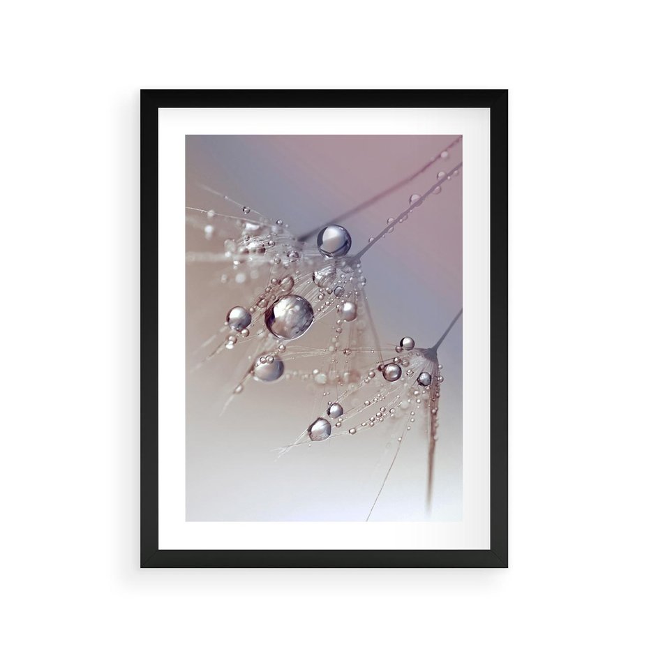 Plakat w ramie 30x40 - Delikatne Natchnienie - krople, dmuchawce - rama czarna
