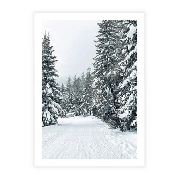 Plakat bez ramy 21x30 - Magia Zimy na Obrazie - las, zima