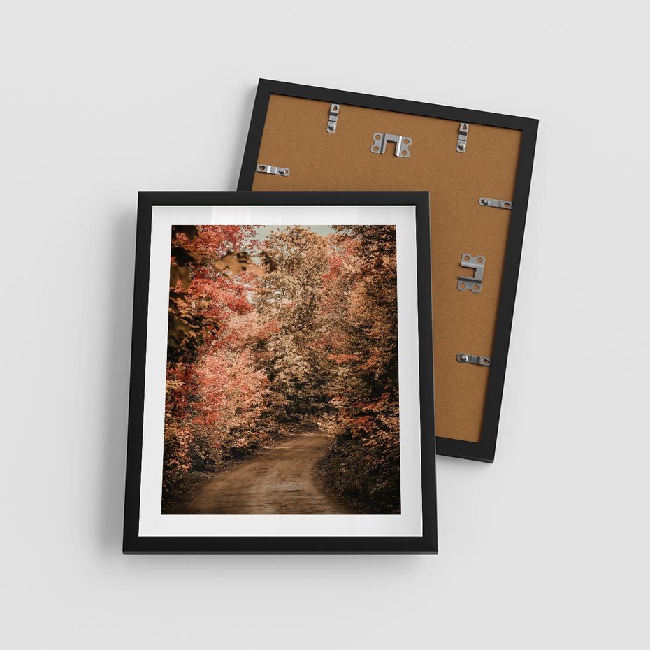 Plakat w ramie 40x50 - Obraz przedstawia jesienne drzewa i czerwone liście na ścieżce w lesie. Ta sceneria doskonale oddaje urok i kolorystykę jesieni w lesie. - las, jesień - rama czarna
