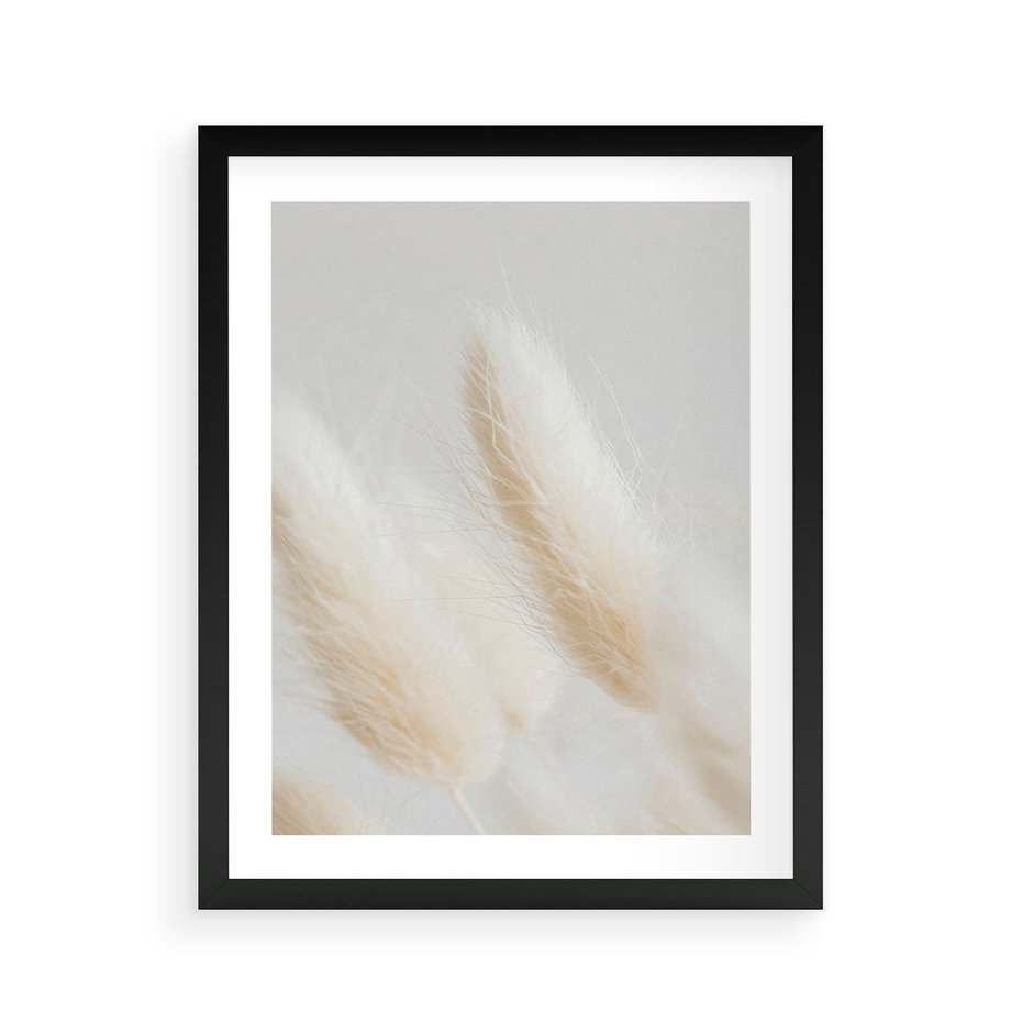 Plakat w ramie 40x50 - Czysty Minimalizm - białe trawy, minimalizm - rama czarna