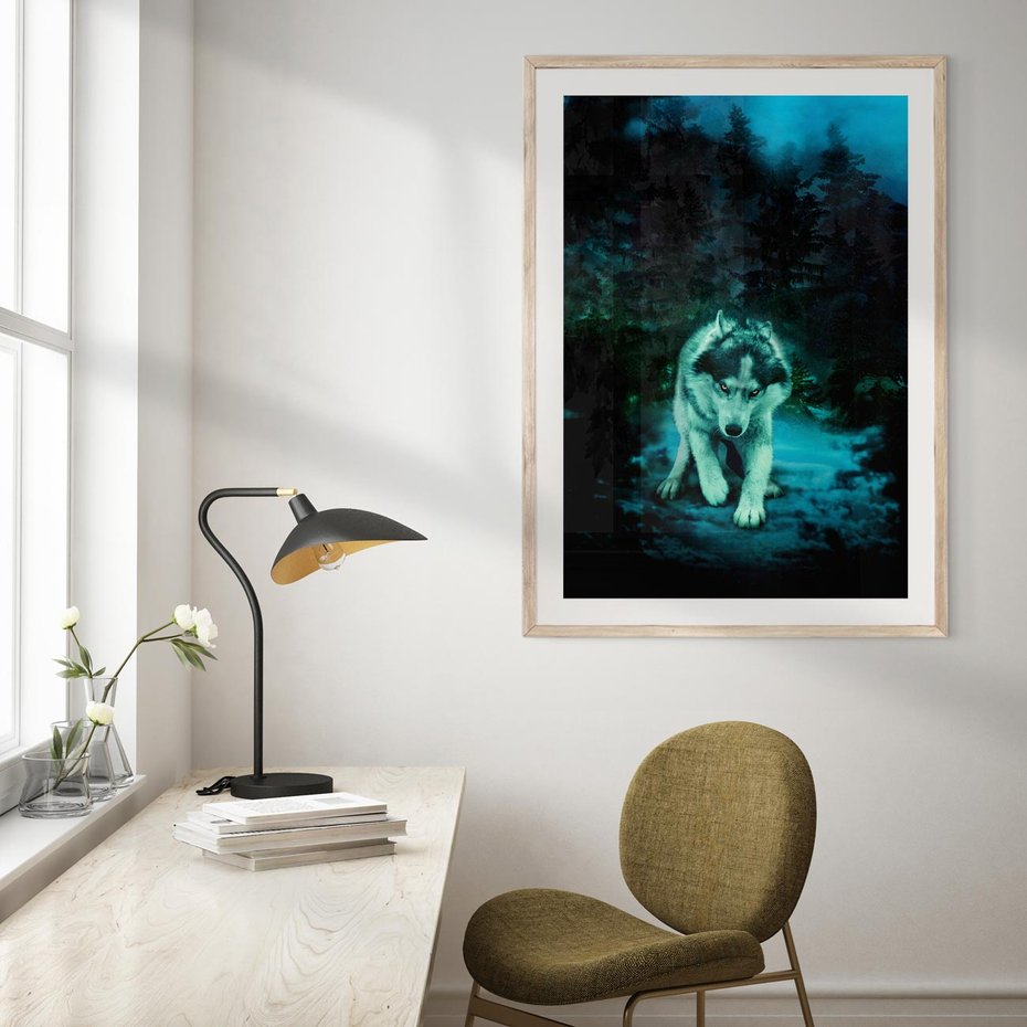 Plakat w ramie 30x40 - Siła i wdzięk natury - wilk, husky - rama drewno