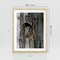 Plakat w ramie 40x50 - Tajemniczy W świecie Nocy - sowa, dziupla - rama drewno