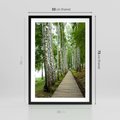 Plakat w ramie 50x70 - Spacer ścieżką przez brzozowy las - las, ścieżka - rama czarna