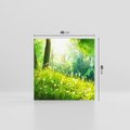 Obraz na płótnie 40x40 - Urok natury - magiczny las na płótnie - las, trawa