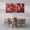 Obraz na płótnie 100x50 - Romantyczna Róż - róża, kwiat