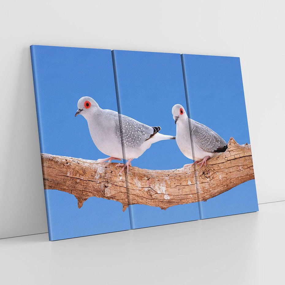 Obraz na płótnie 120x80 - Gołębie w locie - gołębie, gołąb