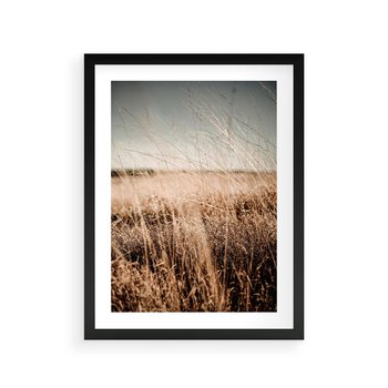 Plakat w ramie 30x40 - Sucha Trawa w Odcieniach Sepii - suche trawy, łąka odcienie beżu - rama czarna