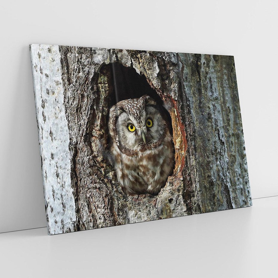 Obraz na płótnie 120x80 - Tajemniczy W świecie Nocy - sowa, dziupla