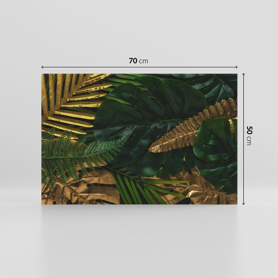 Obraz na płótnie 70x50 - Monstera Liście Kwiat - monstera, liście
