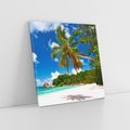 Obraz na płótnie 40x40 - Oaza palm na plaży - palma, plaża