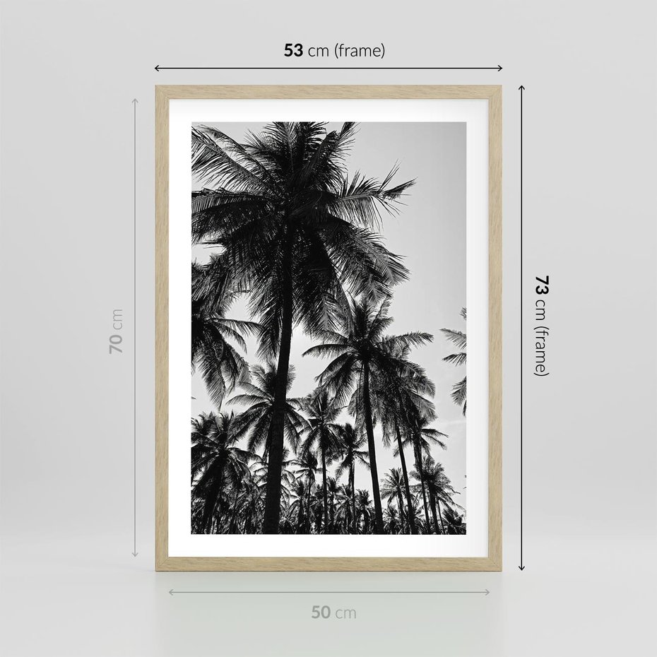 Plakat w ramie 50x70 - Mono Tropiki - palmy, drzewa palmowe - rama drewno