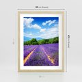 Plakat w ramie 30x40 - Prowansalska Lawenda - lawenda, prowansja - rama drewno