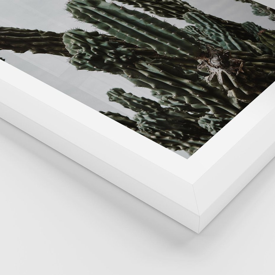 Plakat w ramie 30x40 - Boho oaza wśród kaktusów - kaktusy, pustynia - rama biała