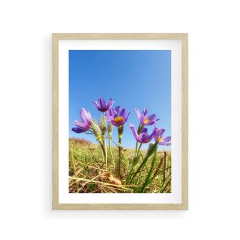 Plakat w ramie 30x40 - Kwiatowa siła łąki - kwiaty, łąka - rama drewno